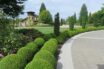 Well Manicured Bushes